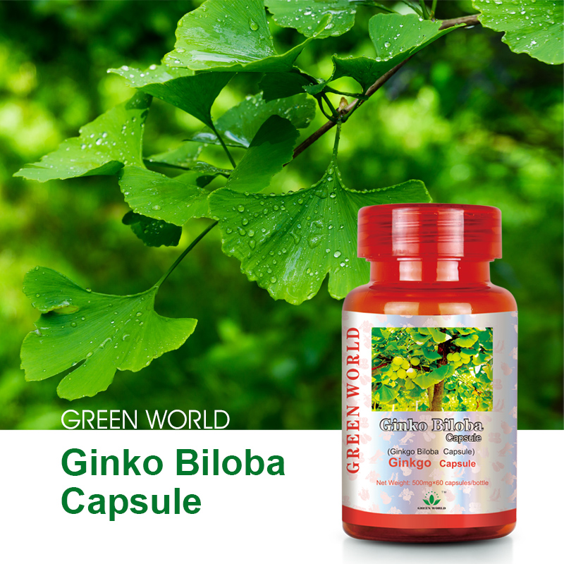 Green World Ginkgo Biloba Capsules – Circulation & Brain Support – 60 Capsules (500 mg) - Image 2