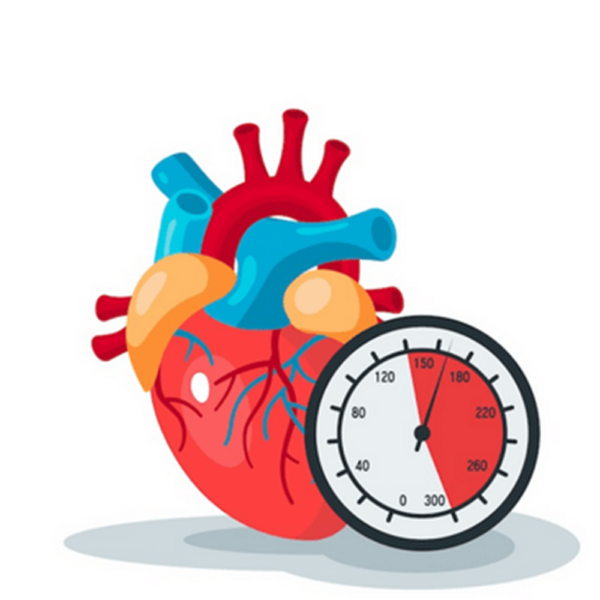 Green World Blood Pressure (Hypertension) Wellness Support Package