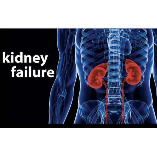 Green World Kidney Wellness Support Supplement Package