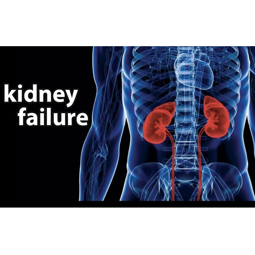 Green World Kidney Wellness Support Supplement Package